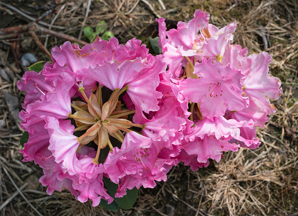 Normandie 05 - 2016_KA79633-1 Kopie.jpg